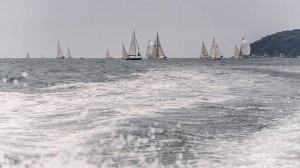 10312352_10202032199197135_314704043448808614_n