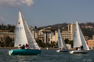 IMG_8524