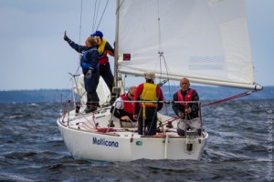 Mollicona